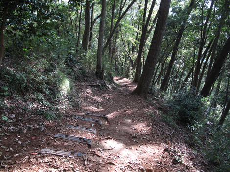 20171005hike (353)